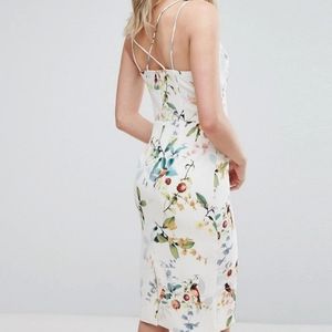 OASIS bird print midi pencil dress
